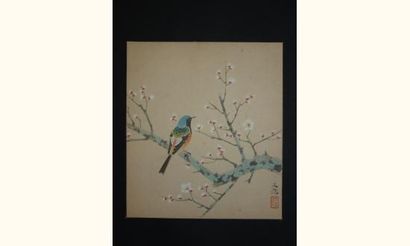 null JAPON
Gouache de l'Ecole Shijo, oiseau sur un cerisier en fleurs. Vers 1900