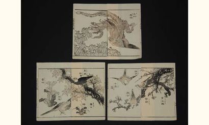 null JAPON
Trois estampes de Taito, série des 100 oiseaux.
Vers 1820.