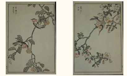 null JAPON
Deux estampes de Bunrei, série des 100 oiseaux. 1891.