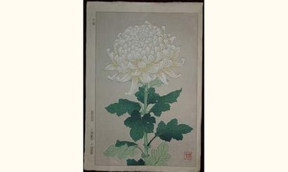 null JAPON
Estampe japonaise Genko, le grand chrysanthème blanc. Vers 1930.