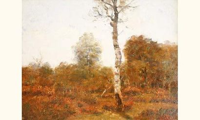 null Louis-Aimé JAPY (1840-1916)
"Forêt de Sénart, 5 octobre 1912 "
Huile sur panneau...