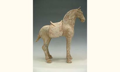 null TANG (618 - 907 ap. J.C.)
Cheval avec selle amovible, en terre cuite grise à...