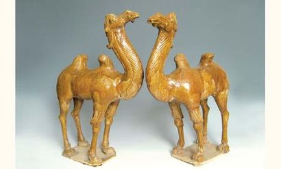 null Archéologie Chinoise Tang (618 - 907 ap. J.C.) 
Paire de chameaux blatérant...