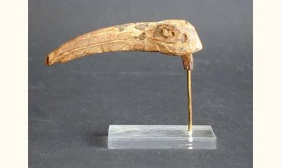null EGYPTE
Tête d'ibis en bois. Basse Epoque. L : 11 cm.