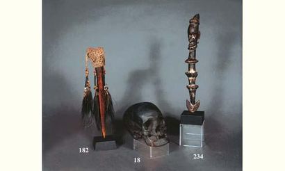 null Histoire naturelle
Crâne de mort à ancien usage rituel.
16 x 20 cm.
 Belle ...
