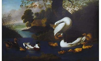 null Attribué à Adriaen van OOLEN (mort en 1694)

« Canards et cygnes sur un étang...