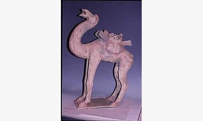 TANG

(618-907 ap. J.C)
Très important chameau...