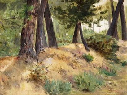 null Léopold-François KOWALSKY (Paris 1856-Cocherel, Eure 1931)
Paysage forestier
Huile...
