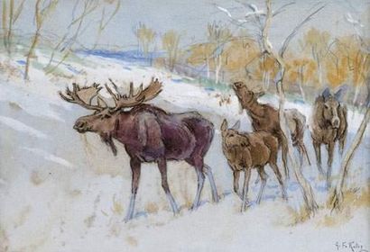 null Georges Frédéric ROTIG (1873-1961)
Caribous dans la neige
Huile sur toile.
15...