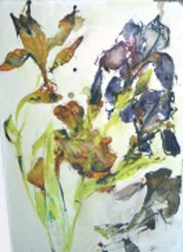 null Valérie HALE (*)
Iris
Aquarelle et encre sur papier.
57 x 38 cm