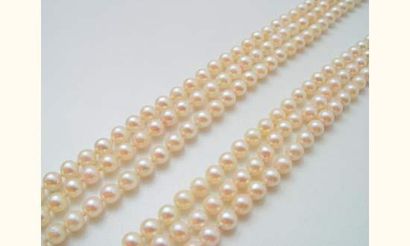 null Collier choker composé de trois rangs de perles de culture d'environ 5,5 à 6...