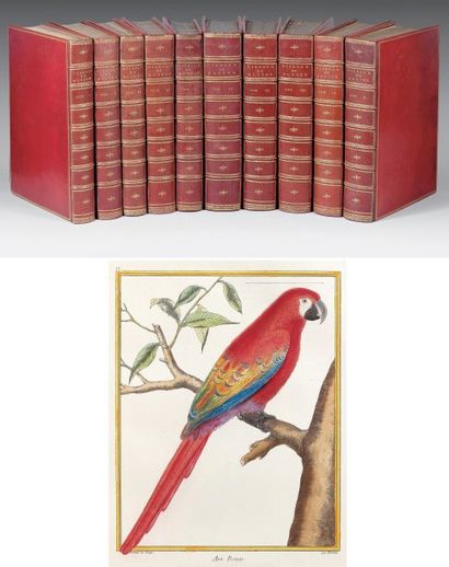 BUFFON, George-Louis Marie Le Clerc Histoire Naturelle des Oiseaux Paris, Imprimerie...