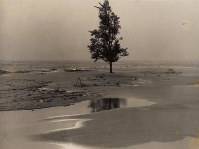 ALBERT RENGER-PATZSCH 1897-1966 Paysage avec arbre, 1930. Tirage argentique d'époque,...