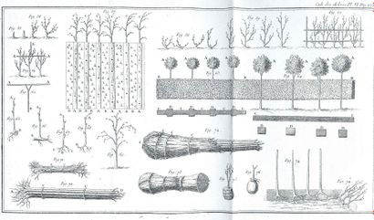 DUHAMEL du MONCEAU (Henri-Louis) Des Semis ou Plantations des arbres et de leur culture...
