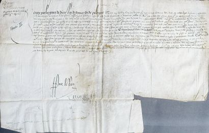 [HENRI III] Dispense de ban et d'arrière-ban pour Pierre Chenu, seigneur de Montchevreuil,...