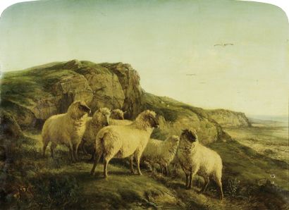 null Ecole anglaise du XIXe siècle Moutons dans les Highlands. Huile sur toile. 70...