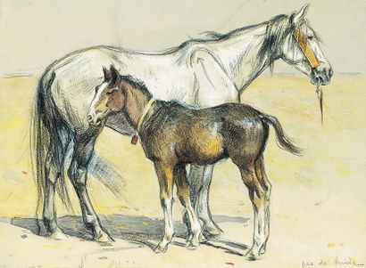 Edouard DOIGNEAU (1865-1954) « Jument et son poulain ». Crayon, gouache et aquarelle....