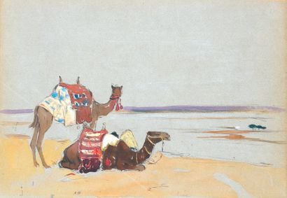 Edouard DOIGNEAU (1865-1954) «Deux dromadaires dans le désert ». Crayon et aquarelle....