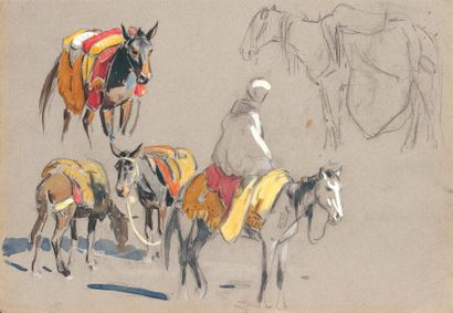 Edouard DOIGNEAU (1865-1954) « Etude de mulets et de paysan ». Crayon, gouache et...