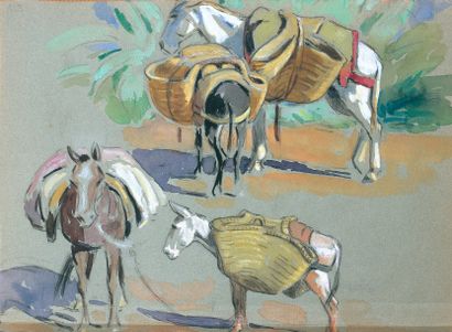 Edouard DOIGNEAU (1865-1954) « Quatre mulets ». Crayon, gouache et aquarelle. 26...