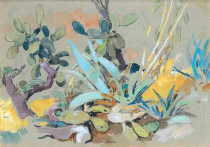 Edouard DOIGNEAU (1865-1954) "Les cactus". Crayon, gouache et aquarelle. 25 x 35...