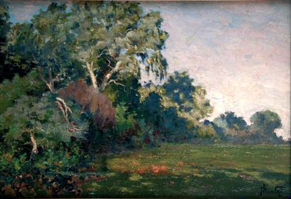 Paul NICOLAÏ (1876-1952) Paysage du Sahel (Les Trembles). Huile sur toile, signée...