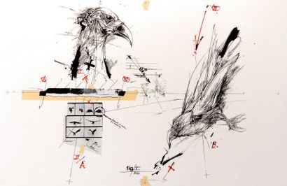 Vladimir VELICKOVIC (né en 1935) Fig .V, Birds, 1979. Lithographie en couleurs. Titrée,...