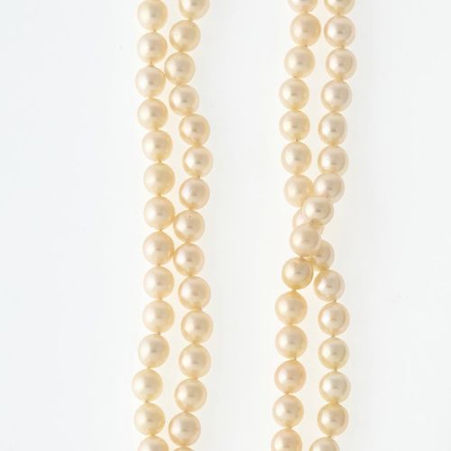 Perlenhalskette Collar de 101 perlas cultivadas lustrosas de color crema, ø 7,5 &hellip;