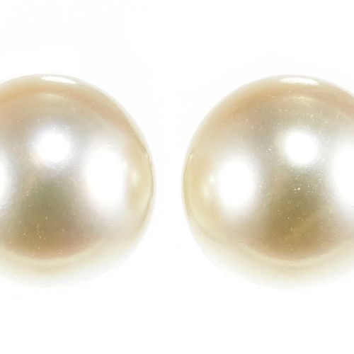 Null Clous d'oreilles sertis de perles (D env. 7,5 mm)

Platine 900