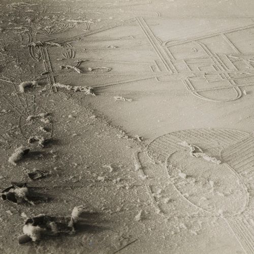 Null D'après Man Ray

Elevage de poussière, tirage argentique, 11x17 cm. Faux ca&hellip;