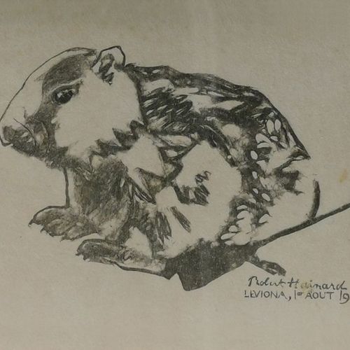 Null Robert Hainard (1906-1999)

Deux gravures: un ours et une marmotte, lithogr&hellip;