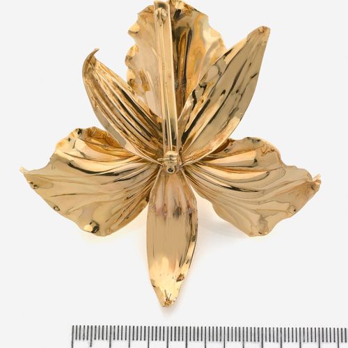 Null 
Broche
En or jaune, stylisant une fleur exotique, les pétales mouvementés,&hellip;