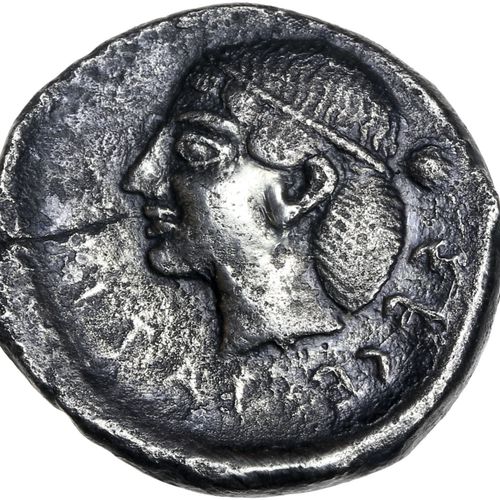 Null SICILE : Ségeste (480-460 av. J.-C.) Didrachme. 7,74 g. Tête de la nymphe S&hellip;
