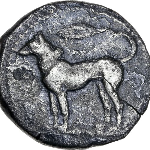 Null SICILE : Ségeste (480-460 av. J.-C.) Didrachme. 7,74 g. Tête de la nymphe S&hellip;