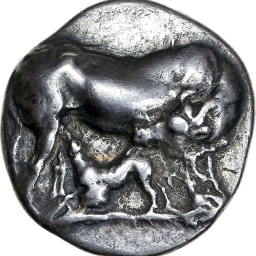 Null EUBEE : Carystos (369-338 av. J.-C.) Didrachme. 6,96 g. Vache debout à droi&hellip;