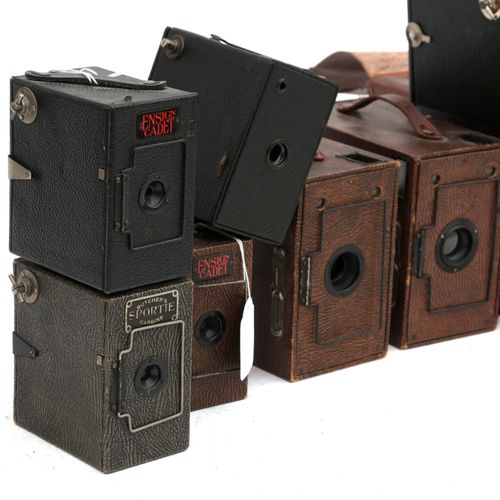 Null (9) Fähnrich-Box-Kameras. Box Ensign 2 1/2B, Kadett in zwei Farben ausgefüh&hellip;