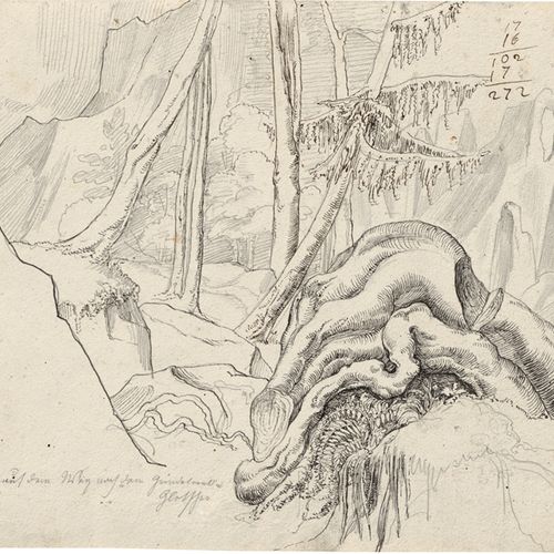 Rohden, Johann Martin von 通往格林德瓦尔德冰川的森林路段有树根。


用黑色和铅笔在编织纸（papier vélin）上画的钢笔画，在&hellip;