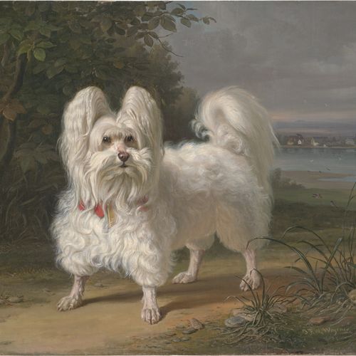 Wegener, Johann Friedrich Wilhelm 易北河畔的小马耳他犬。
布面油画。58 x 71厘米。右下方有签名和日期 "J. F. W.&hellip;