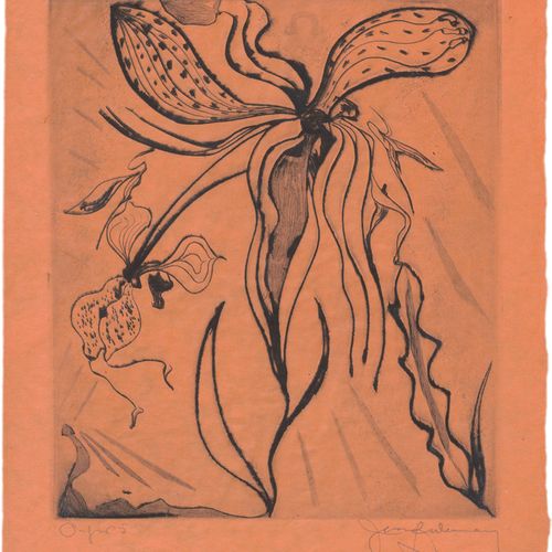 Ledermann-Wartberg, Baron Herbert von "Orchidea"
Serie di 5 lavori a puntasecca &hellip;
