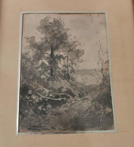 Null Jean-Alexis ACHARD (1807-1884). Landscapes with a tree. Two inks and wash w&hellip;