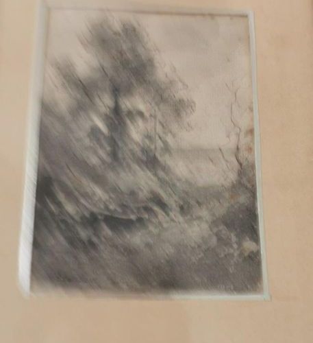 Null 让-亚历山大-阿夏尔（1807-1884）。景观与一棵树。 两幅水墨画，左下方有手写的提法："经过认证的J.Achard/Harpignies的学生。&hellip;