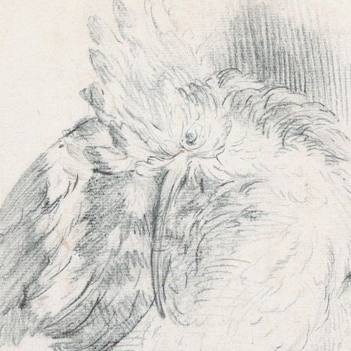 Null ÉCOLE DE JEAN BAPTISTE OUDRY Étude de bécasse Crayon noir, estompe, quelque&hellip;