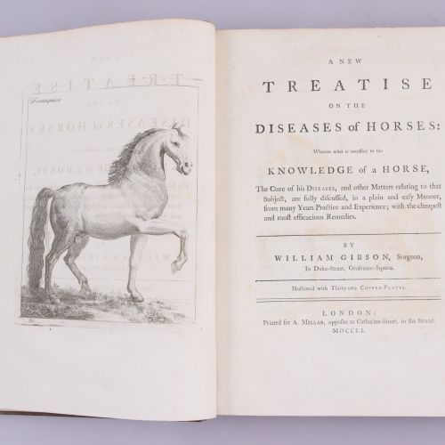 Null GIBSON, William A new treatise on the diseases of horse, wherein what is ne&hellip;