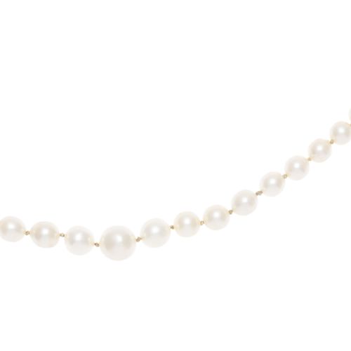 Null Collier 1 rang de perles de culture blanches, fermoir or gris 750 serti de &hellip;