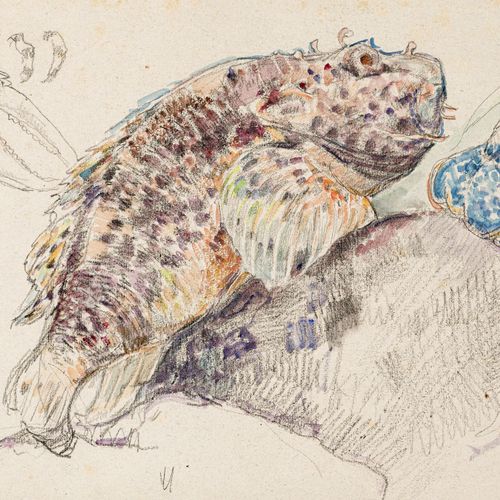 Null Théo Van Rysselberghe (1862-1926), Etude rascasse et homard, aquarelle et f&hellip;