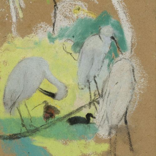 Null Simon-Albert Bussy (1870-1954), Etudes d'oiseaux (Ibis, Flamants roses, Tou&hellip;