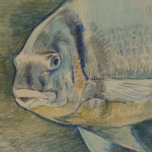 Null Théo Van Rysselberghe (1862-1926), Etude de poissons, suite de 3 aquarelles&hellip;