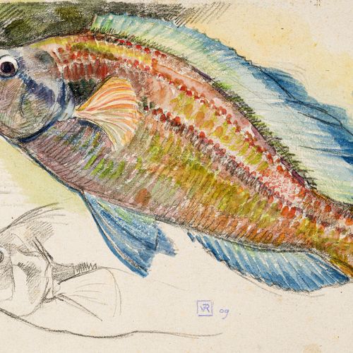 Null Théo Van Rysselberghe (1862-1926), Poisson multicolore, aquarelle et fusain&hellip;