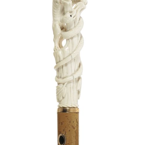Null Canne à pommeau en ivoire sculpté d'un lion grimpant sur un tronc sur leque&hellip;