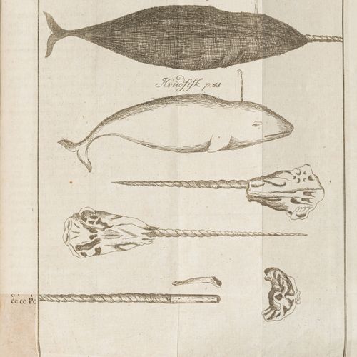 Null EGGEDE（汉斯）。格陵兰岛的描述和自然历史。哥本哈根，日内瓦，Frères C.A. Philibert.1763.8开本，豹纹全棕褐色小牛皮装订&hellip;